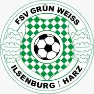 FSV Grün Weiss Ilsenburg WhatsApp Channel