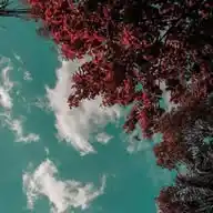 GÖNÜL BAHÇESİ 💐✨🫀🫠🥹 WhatsApp Channel