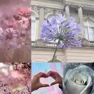 𝑯𝒆𝒍𝒆𝒏𝒆.𝒙𝒙🌸♡✨ WhatsApp Channel