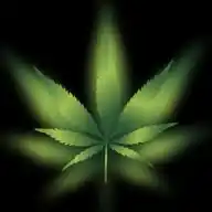 Kifferforum.de - Cannabis und mehr WhatsApp Channel