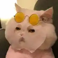 la gata del siquiatra WhatsApp Channel