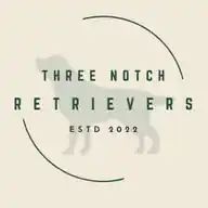 Labrador Retriever Breeder (Three Notch Retrievers) WhatsApp Channel