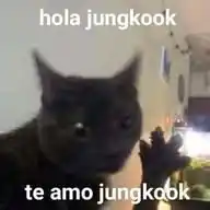 Loo Q Venga Daleee WhatsApp Channel