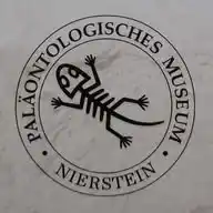 Paläontologisches Museum Nierstein WhatsApp Channel
