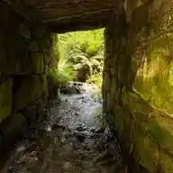 Poetic Word Vibrations  WhatsApp Channel
