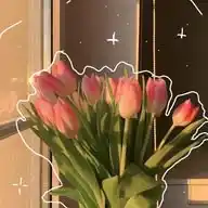 𝐀𝐲𝐮 𝐒𝐦𝐚𝐫𝐭 𝐑𝐨𝐨𝐦˚˖𓍢ִ໋🌷͙֒✧ WhatsApp Channel