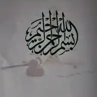 تعليم WhatsApp Channel