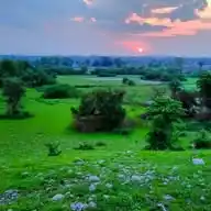 Village_Nature_View WhatsApp Channel