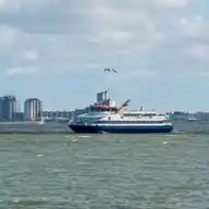 Westerschelde Ferry WhatsApp Channel