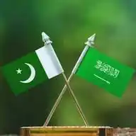 Community & Humanity - (PCHF) Legal Advice for Pakistani ๐ต๐ฐ Expats WhatsApp Channel