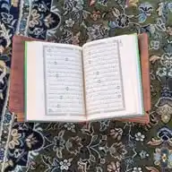 Daily Quran WhatsApp Channel