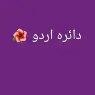 دائرہ اردو 🌺 WhatsApp Channel