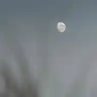 💫Efímero WhatsApp Channel