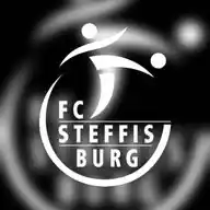 FC Steffisburg WhatsApp Channel