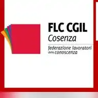 FLC CGIL Cosenza WhatsApp Channel