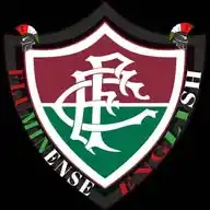 Fluminense in English  WhatsApp Channel