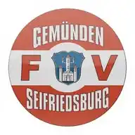 FV Gemünden/Seifriedsburg WhatsApp Channel