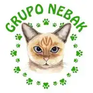 Grupo Nebak WhatsApp Channel