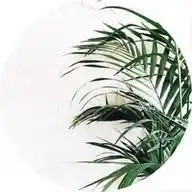 حيثُ الجنَّة | تلاوات ☁. WhatsApp Channel