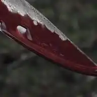 ╰ીྀ̤୶.𝑾ʜ𝑜?◍𑂺ི⸼🥩 WhatsApp Channel