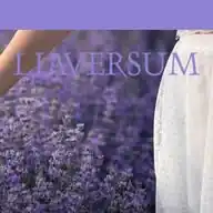 Liaversum Beraterportal WhatsApp Channel
