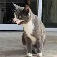 Mırnavlar WhatsApp Channel