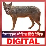 Reliable Media WhatsApp Channel
