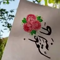 🌱| العِــلــمُ صـــلاةُ السِّــر|🌱 WhatsApp Channel