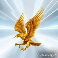 𝐓𝐄𝐀𝐌 𝐄𝐀𝐆𝐋𝐄 WhatsApp Channel