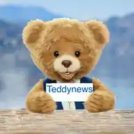 Teddynews WhatsApp Channel