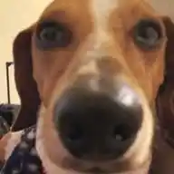TOTO WhatsApp Channel