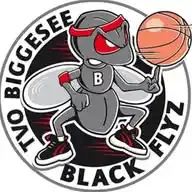 "Black Flyz" - Basketball an Bigge und Sieg WhatsApp Channel
