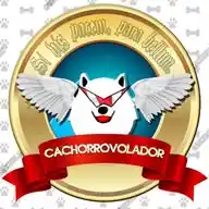 Cachorrovolador WhatsApp Channel