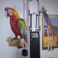 DXonJet Wall Printer WhatsApp Channel