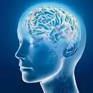 Genius Mind Personal Development Hub WhatsApp Channel