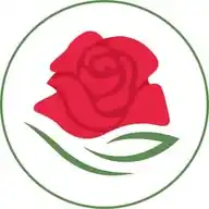 Her Hafta 1 Sünnet WhatsApp Channel
