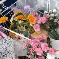 ila daily🌷🧚🏻‍♀️ WhatsApp Channel