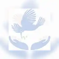 خبر خير – Khabar Khair (Only Good News) WhatsApp Channel