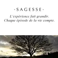 *Leçon De La Vie* WhatsApp Channel
