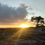 LOTES À VENDA ARAMARI-BA WhatsApp Channel