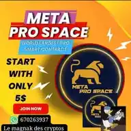 MÉTA PRO SPACE WhatsApp Channel
