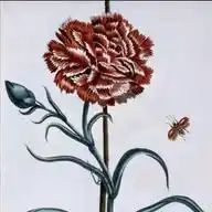 Natural Life WhatsApp Channel