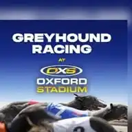 Oxford Greyhound Racing  WhatsApp Channel