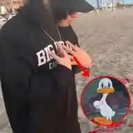 Patos WhatsApp Channel