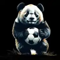 🐼⚽️ פנדהבול - מאת אופק גולסטני 🐼⚽️ WhatsApp Channel