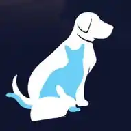 Portal Panorama PetVet WhatsApp Channel