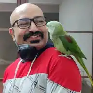 Sarosh WhatsApp Channel