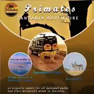 🇹🇿Primate adventure Tanzania 🐒 WhatsApp Channel