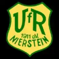 VfR Nierstein 1911 e.V. WhatsApp Channel
