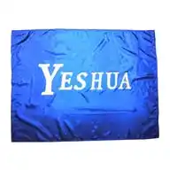 Yeshua Vive WhatsApp Channel